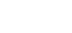 Fox Logo